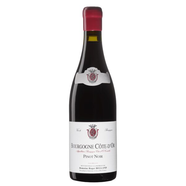ROGER BELLAND - BOURGOGNE COTE D'OR 2024